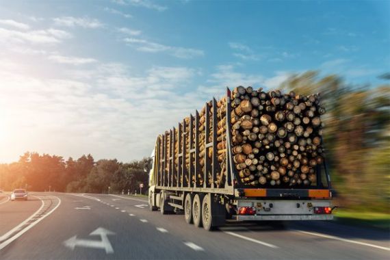 Možnost dopravy palivového dřeva