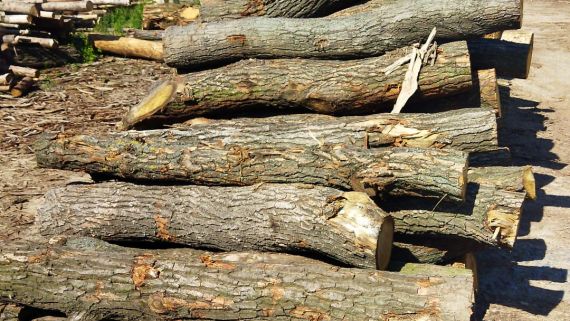 Skládané jasanové a dubové dřevo