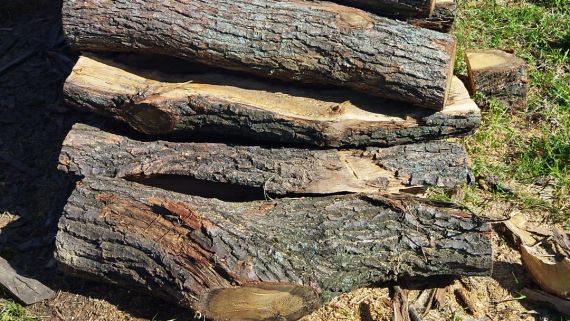 Skládané dubové dřevo