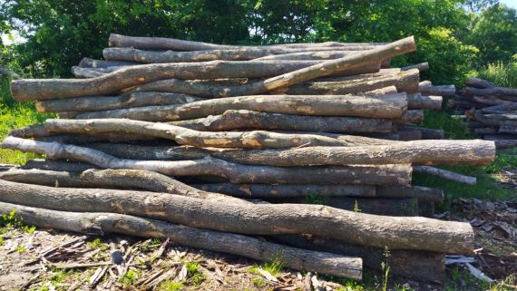 Jasanové dřevo skládané